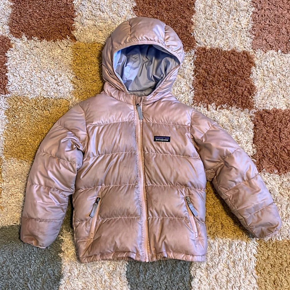 Patagonia Hi-Loft Down Sweater Hoodie